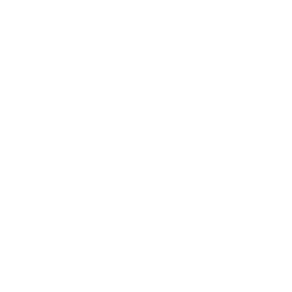 FRANCE24