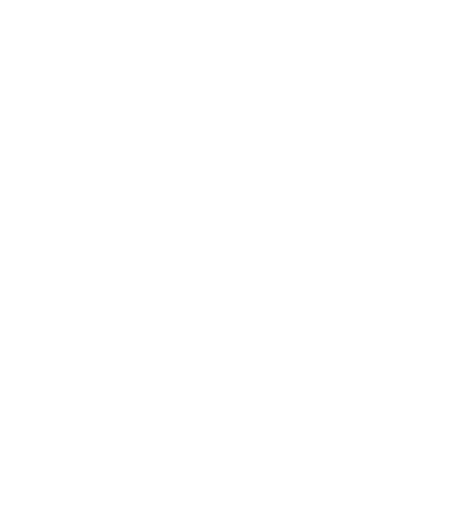 TVN CHILE